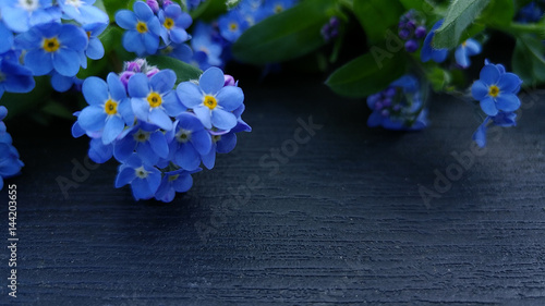 Forget-me-nots symbolic background