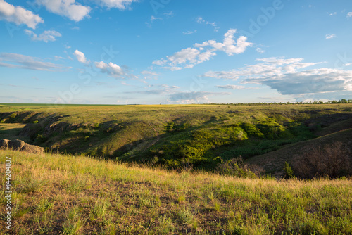Magic landscape of a green prairie
