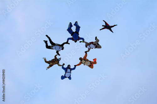 Skydive animal formation