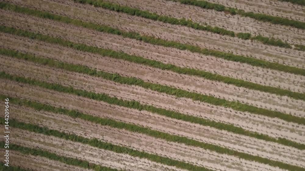 descending and spinning clockwise over vineyard descending and spinning clockwise over vineyard
