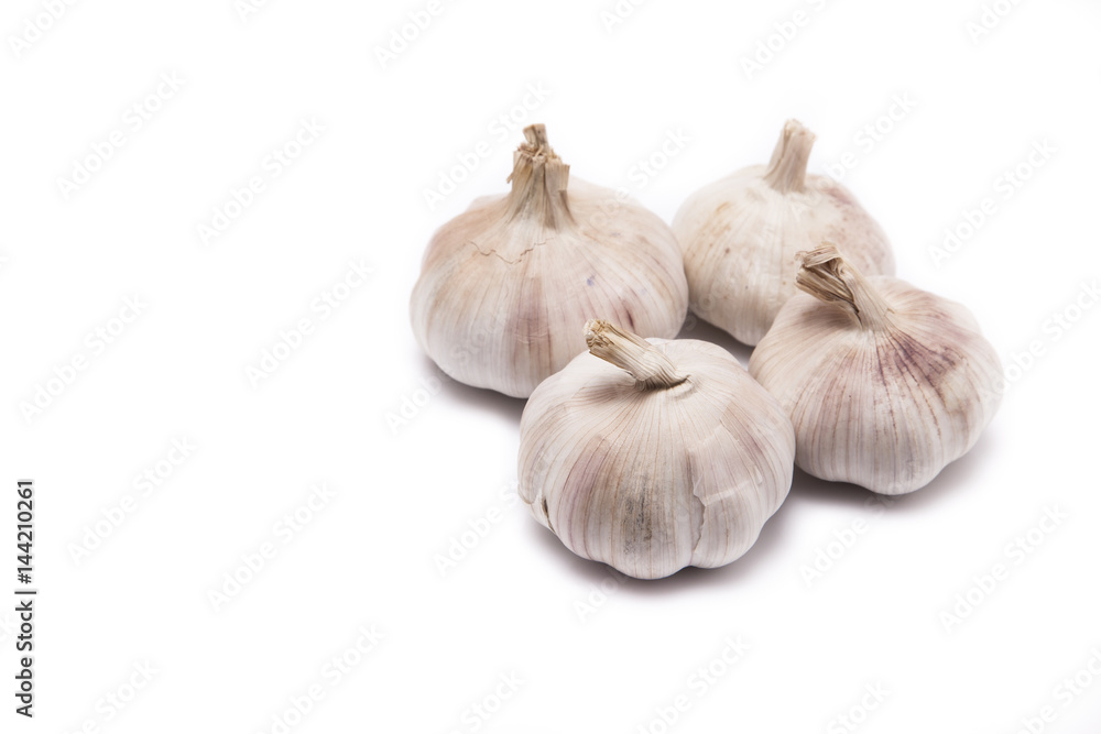 Garlics isolate on white background with space for wording Garlics isolate on white background with space for wording