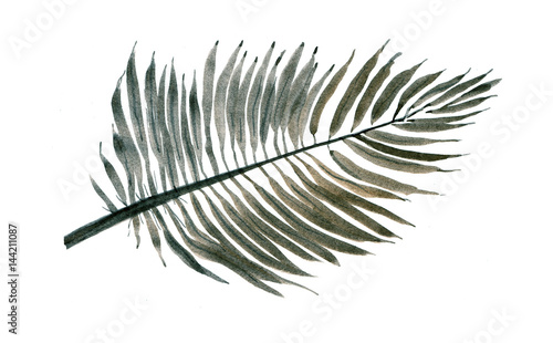 Palm leaf, Sketch. Illustration
