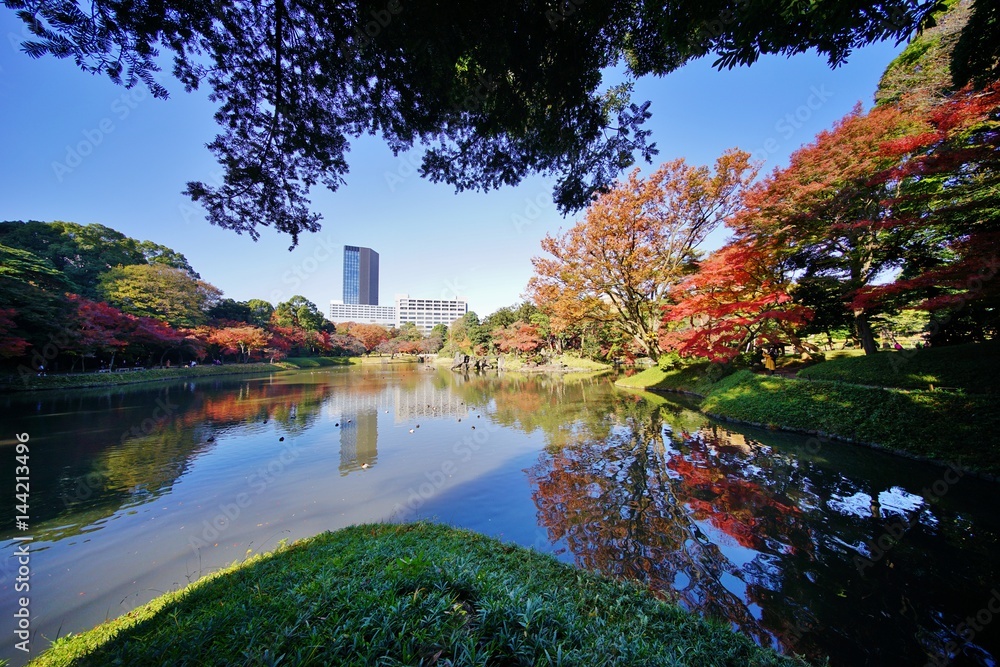 秋の日本庭園 秋の日本庭園