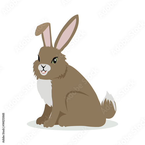 Hare Cartoon Vector Illustration in Flat Design