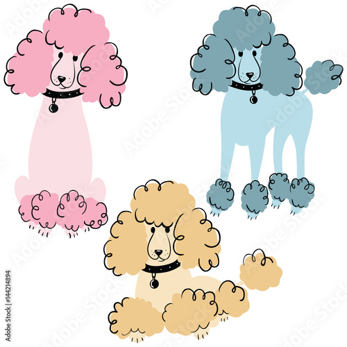 Poodle dogs