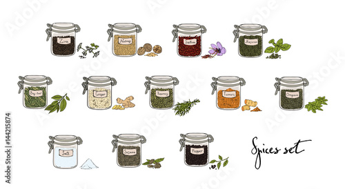 spices in jars, big set, part 1. collection hand drawn vector illustration.
