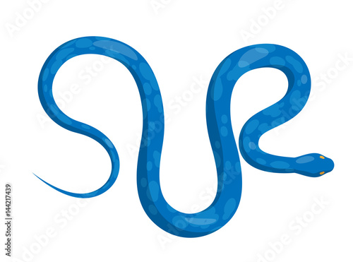 Slither Blue Python Snake Top View Vector Icon