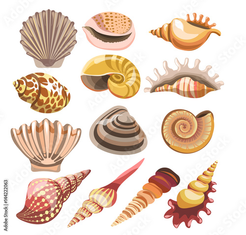 Shells or seashells vector isolated icons