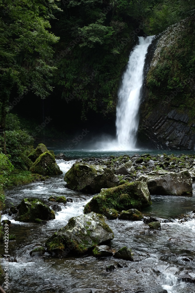 Fototapeta premium 浄蓮の滝