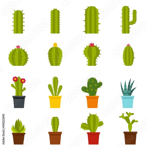 Different cactuses icons set in flat style