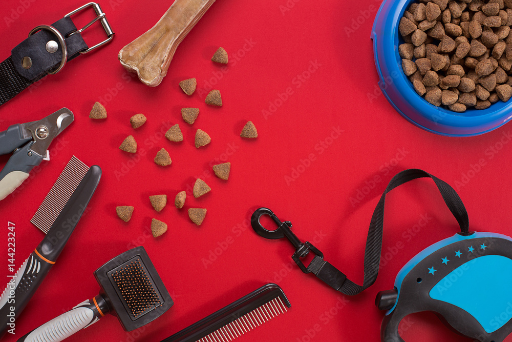 Collar, bowl with feed, leash, delicacy, combs and brushes for dogs. Isolated on red background Collar, bowl with feed, leash, delicacy, combs and brushes for dogs. Isolated on red background
