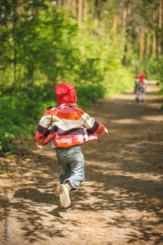 Group of little kids running in the forest. Middle spring green pine forest hike in Waldorf kindergarten.