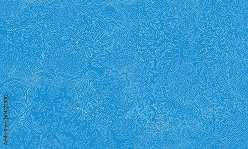 Vector abstract earth relief map. Generated conceptual elevation map. Isolines of landscape surface elevation. Geographic map conceptual design. Elegant background for presentations.