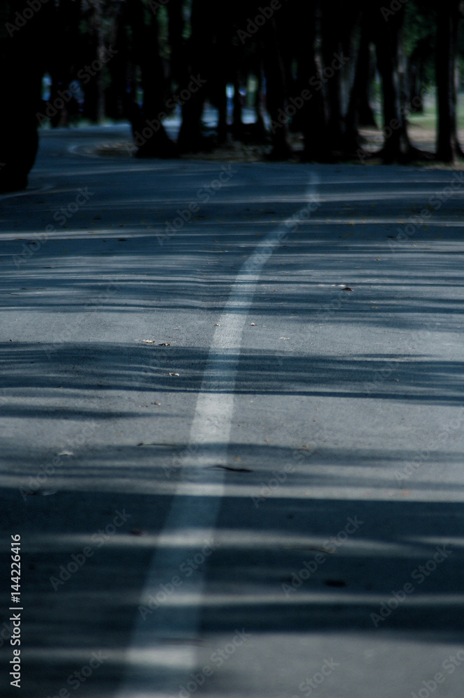 Empty asphalt road in jungle with trees beside Empty asphalt road in jungle with trees beside