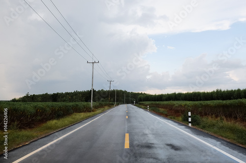 Wet asphalt road with plant beside into the forest © nopphadon