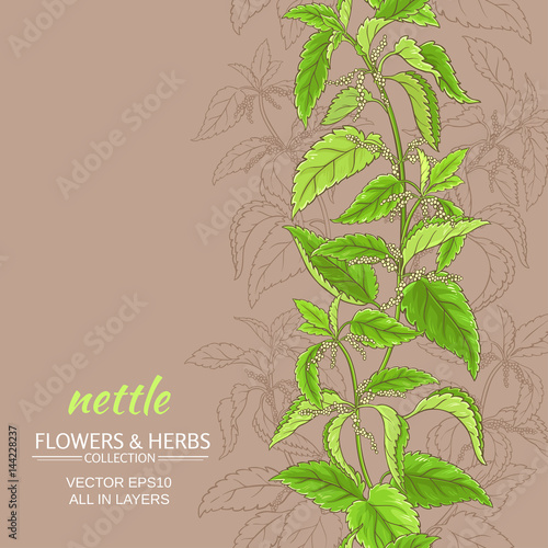 nettle vector background