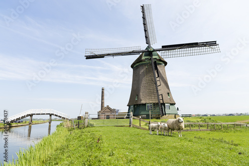 Dutch windmill on Farmland, Holland, Netherlands