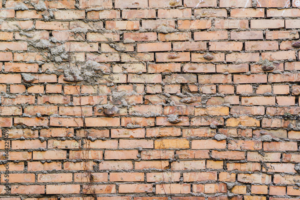 Fototapeta premium brick wall texture