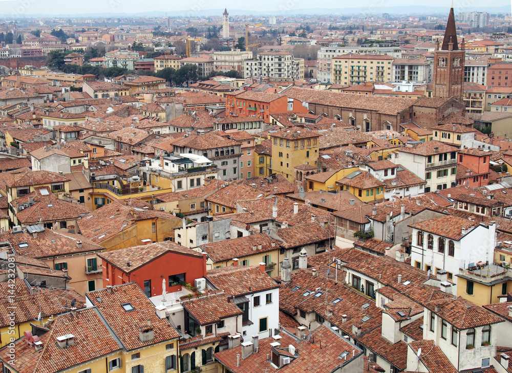 Fototapeta premium Verona view of City