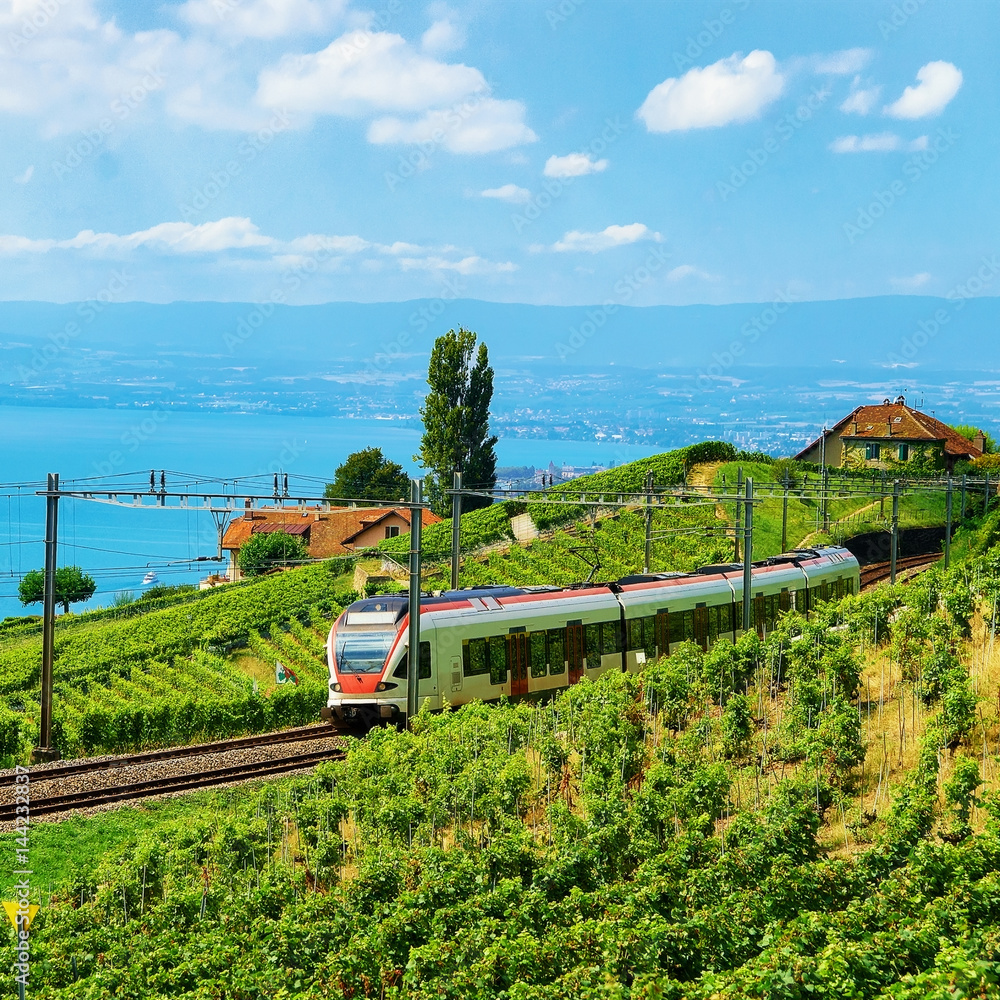 Fototapeta premium Train at railroad at Lavaux Vineyard Terraces Lake Geneva Alps