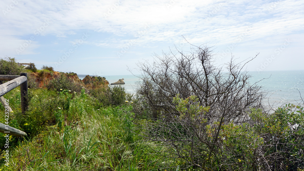 wild landscape in portimao