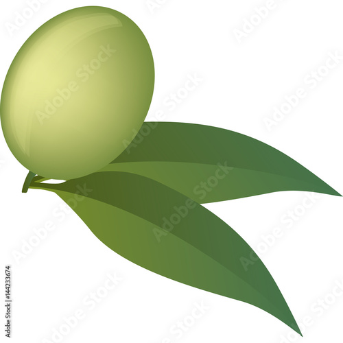 oliva