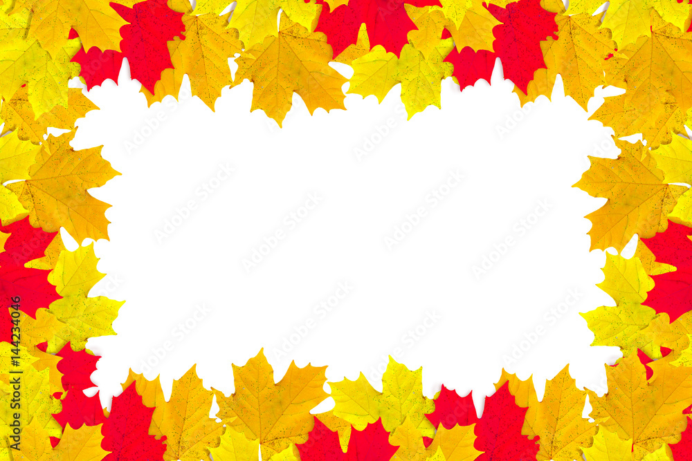 autumn leaves isolated on white background. autumn leaves isolated on white background.
