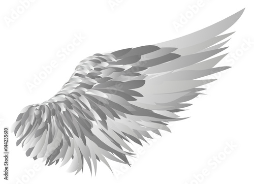 Wings. Vector illustration on white background. silhouette