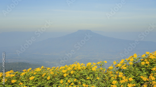  sunlight landscape