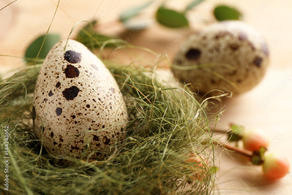 Obraz premium Easter egg in nest, closeup