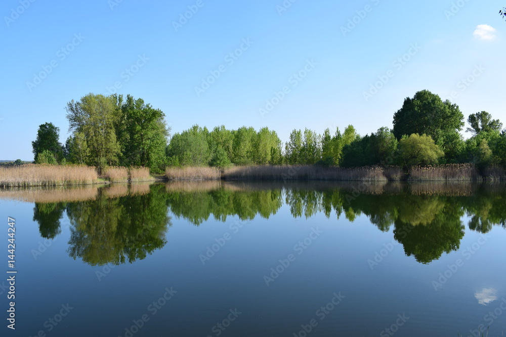 spring on the lake, the awakening of colors and reflections