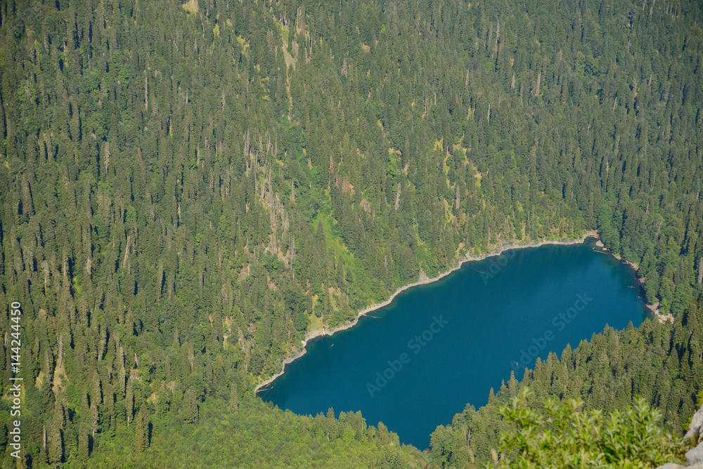 Aerial view of the blue lake, which is located among the pine forest, Malaya Ritsa, Abkhazia