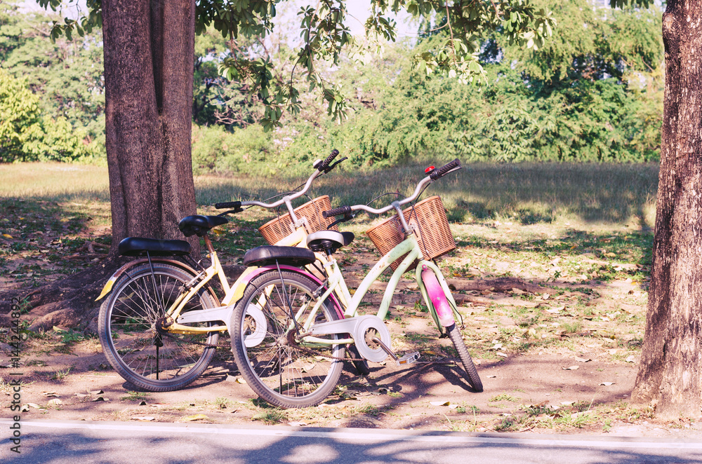 two bicycle standing on side bicycle way in the park.