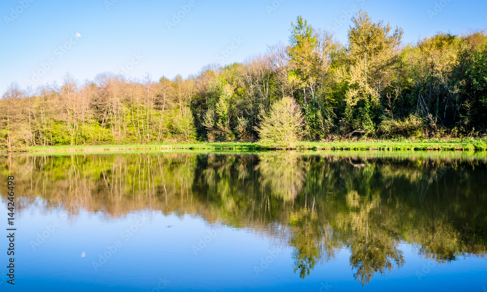 Printemps au bord de l'étang de pêche Printemps au bord de l'étang de pêche
