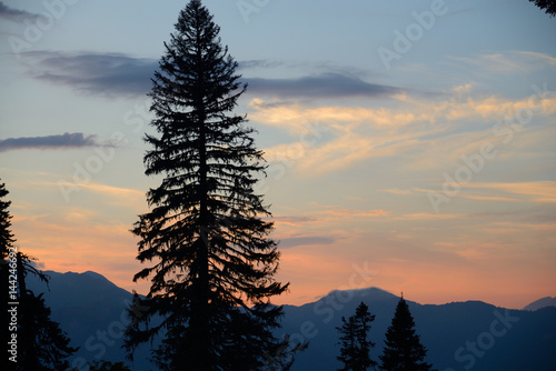 View from Pshegishvah mountain west, at sunset, silhouettes of trees, Abkhazia, Caucasus