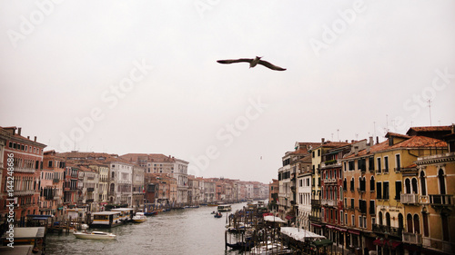 early morning in venice