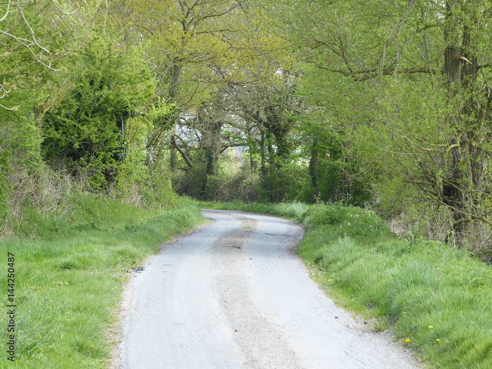 Winding Country Lane