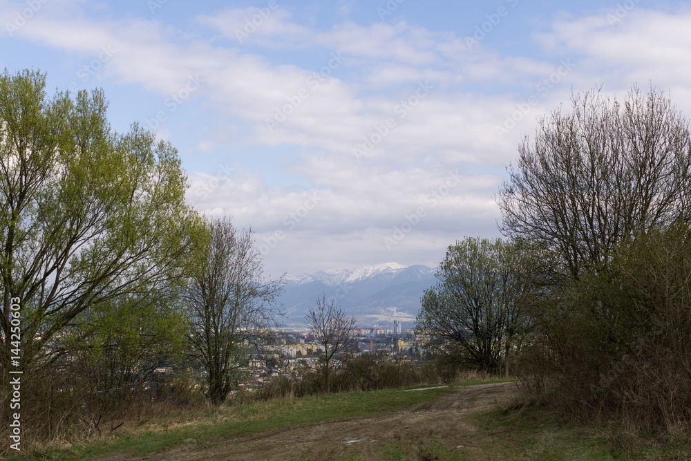Meadow with trees and views to mountains. Slovakia Meadow with trees and views to mountains. Slovakia
