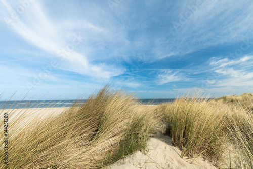 Sunny Dunes And Beach At Renesse   Netherlands