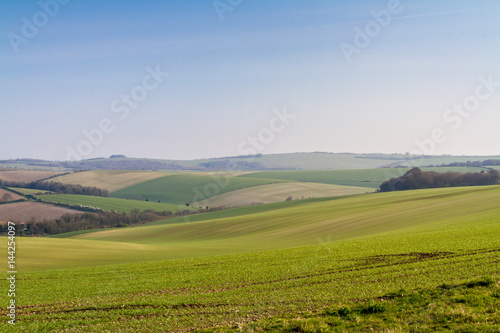 Sussex Patchwork Landscape