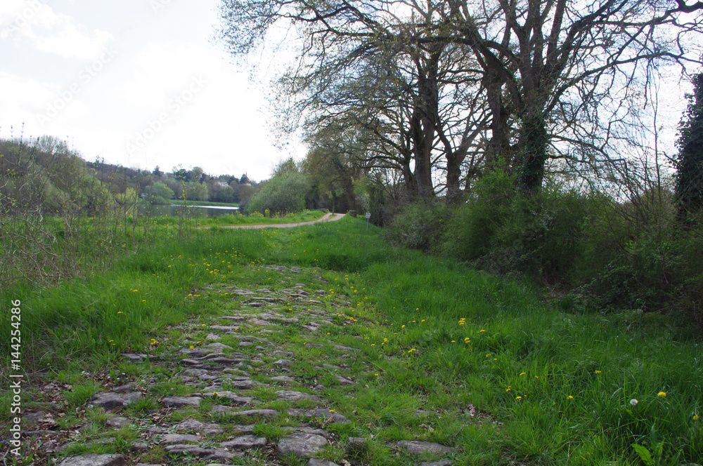 La voie romaine à Langon