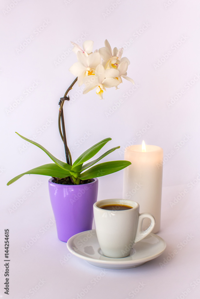 A cup of coffee, a small white orchid and a burning candle on a white background A cup of coffee, a small white orchid and a burning candle on a white background