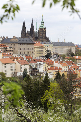 Spring Prague gothic Castle with the green Nature and flowering Trees, Czech Republic