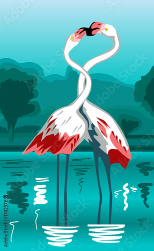 flamencos lago