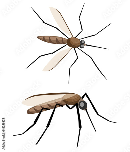 Mosquito silhouettes isolated on white background. Vector mosquito silhouettes. Aegypti flying mosquito. Zika virus transmission.