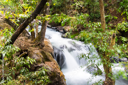 Waterfall in the forest