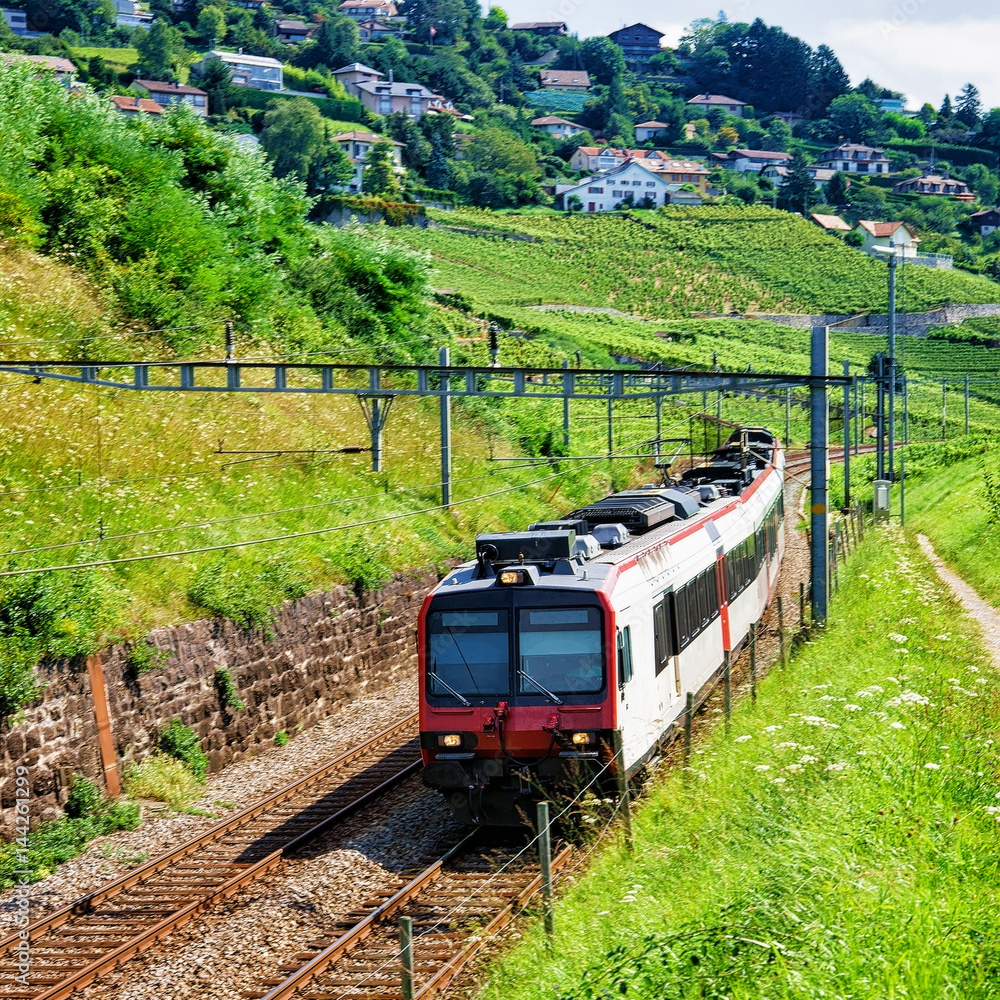 Fototapeta premium Swiss running train in Vineyard Terraces of Lavaux in Switzerland