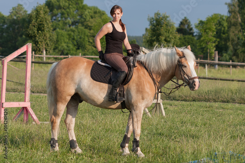 A young woman posing on  a horse Haflinger © patrikslezak