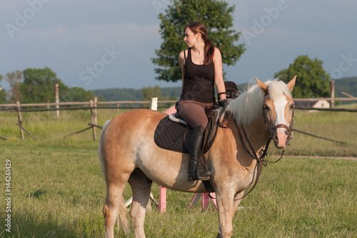 A young woman posing on a horse Haflinger