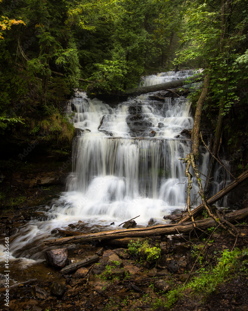 Fototapeta premium Munising Falls at Munising, Michigan with lush plants and trees